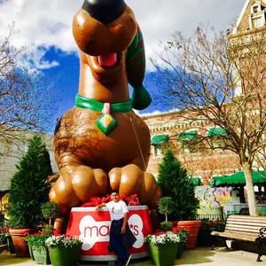 Meet your Posher, Jimmy